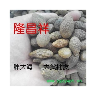 批发优质胖大海批发长果胖大海大货批发