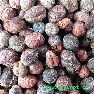 批发中药材批发阳春砂仁阳春砂仁米去壳 产地 广东省阳江市阳春市正品砂仁去壳符合2015年药典标准图4