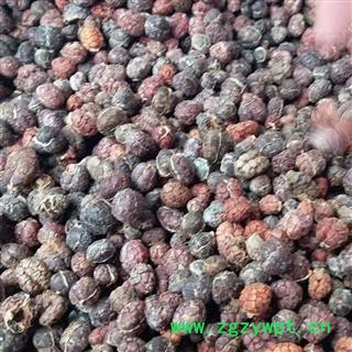 批发中药材批发阳春砂仁阳春砂仁米去壳 产地 广东省阳江市阳春市正品砂仁去壳符合2015年药典标准图3