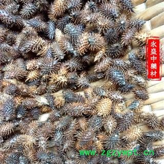 苍耳子 苍耳子后期黄褐色统货 产地 河南省南阳市图2