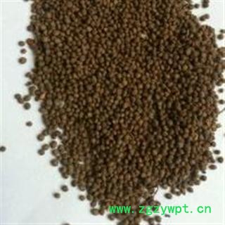 急性子 净选 产地 安徽省宿州市灵璧县图2