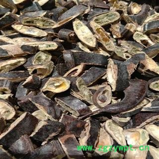 大皂角 统货，无蛀虫无霉变 产地 山东省滨州市邹平县图3