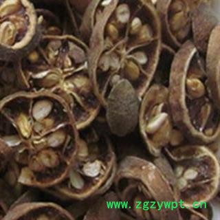 野枳壳 ,枸橘,枸橘李,臭橘,薄片,质量正品, 产地 河南省图2