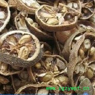 野枳壳 ,枸橘,枸橘李,臭橘,薄片,质量正品, 产地 河南省图4