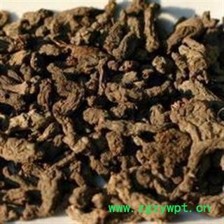 天葵子 中药 紫背天葵 天葵草 千年老鼠屎 夏无踪 散血球 天葵根图2