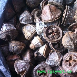 一口钟：云南白树球，扣子七，胜利果。图2