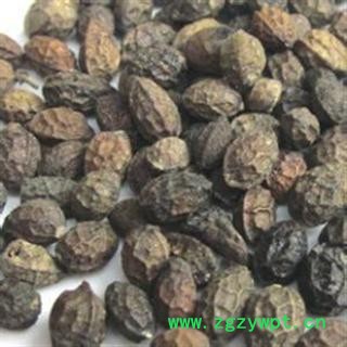 鸦胆子 正品 特级 精选 优质 干净 打折 促销图2