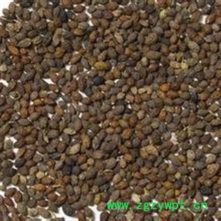 鸦胆子 正品 特级 精选 优质 干净 打折 促销图3