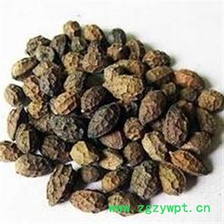 鸦胆子 正品 特级 精选 优质 干净 打折 促销图4