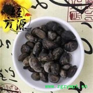 马槟榔B 屈头鸡  马金南 马金囊 紫槟榔 山槟榔  马槟榔统货 产地 云南省图2