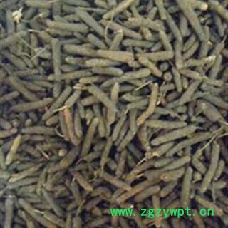 京辉药业 荜拨 荜茇 正品 优质促销各种规格中药材图2