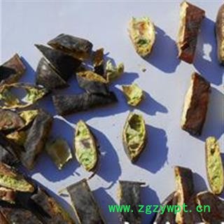 京辉药业 大皂角 皂荚 优质大皂角 促销图2