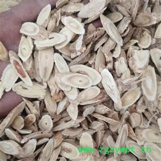 黄芪 甘肃黄芪指甲片大选片1.0-1.2 产地 甘肃省图2