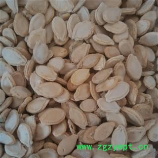 冬瓜子 统 产地 山东省图2