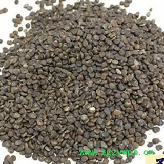 沙苑子 统 产地 山西省图2