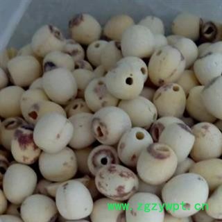京辉药业 白莲子 去芯优质白莲子图2