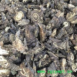 羌活 四川野生羌活好统片 假一赔十万信药业 专注品质  产地 四川省图3