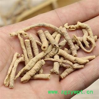 抽芯远志 秦岭优质远志 分拣晒干500g 可配益智仁伸筋草图2