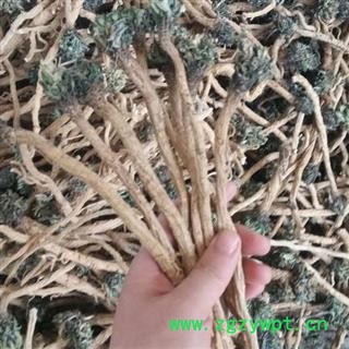 秦岭农家优质板蓝根根条 大青根 自产自销 日晒无硫1000g图3