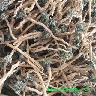 秦岭农家优质板蓝根根条 大青根 自产自销 日晒无硫1000g图4