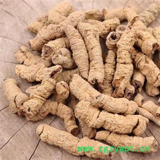 【抽芯】 秦岭优质巴戟天500g 手工分拣日晒无硫图4