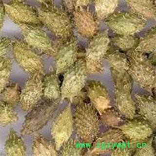 灵吉药业 苍耳子    道地药材  货真价实   批发各种规格规格中药材 花茶 矿石 冷背珍稀野生药材图3