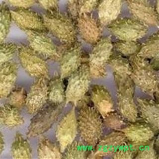 灵吉药业 苍耳子    道地药材  货真价实   批发各种规格规格中药材 花茶 矿石 冷背珍稀野生药材图2