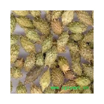 灵吉药业 苍耳子    道地药材  货真价实   批发各种规格规格中药材 花茶 矿石 冷背珍稀野生药材