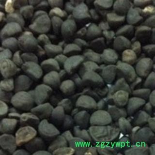 灵吉药业 黑丑 牵牛子 地道药材 货真价实 批发各种规格中药材 花茶 矿石 野生冷背中药材图3