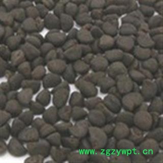 灵吉药业 黑丑 牵牛子 地道药材 货真价实 批发各种规格中药材 花茶 矿石 野生冷背中药材图4