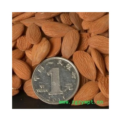 灵吉药业  桃仁 毛桃仁 扁桃仁 大桃仁 货真价实  批发各类规格中药材 花茶 矿石