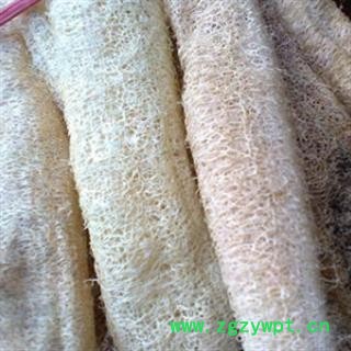 灵吉药业  丝瓜络 天萝筋 丝瓜网 丝瓜 壳瓜络、絮瓜瓤 （整统货白48 黄50） 批发各类规格中药材 花茶 矿石 冷背珍稀药材图3