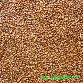 灵吉药业 炒决明子 炒草决明 精选 批发各类规格中药材 花茶 矿石图2