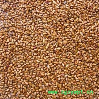 灵吉药业 炒决明子 炒草决明 精选 批发各类规格中药材 花茶 矿石图3