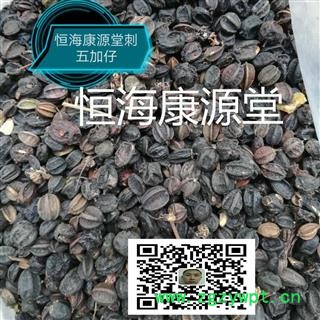 恒海康源堂刺五加籽 刺五加籽风选货 产地 黑龙江省双鸭山市图2