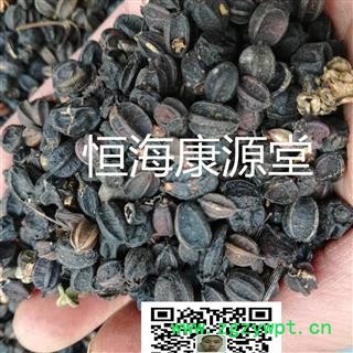 恒海康源堂刺五加籽 刺五加籽风选货 产地 黑龙江省双鸭山市图3