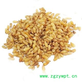 柏子仁 柏子仁选货无壳无杂质 产地 山东省济宁市图3