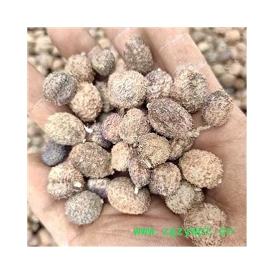 （包邮）特级阳春砂仁