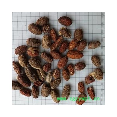 砂仁 进口砂仁米统货 产地 云南省西双版纳傣族自治州景洪市