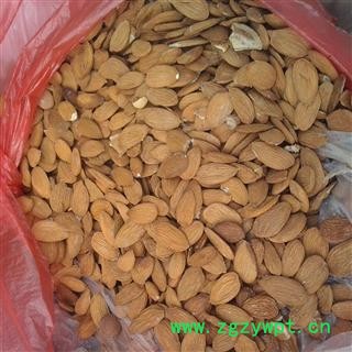 杏仁  山东蒙山  一级货  无去皮图2