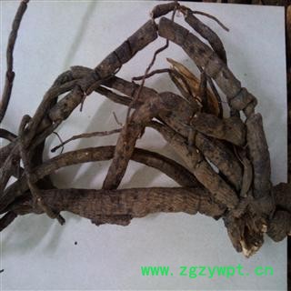 茅莓 统 产地 广西壮族自治区桂林市市辖区图4