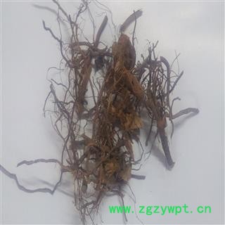 茅莓 统 产地 广西壮族自治区桂林市市辖区图3