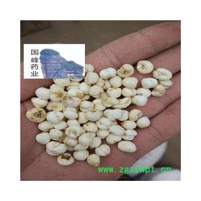 平贝母 浙贝母 正品地道药材 选 全干 国峰药业 重在品质 产地 浙江省