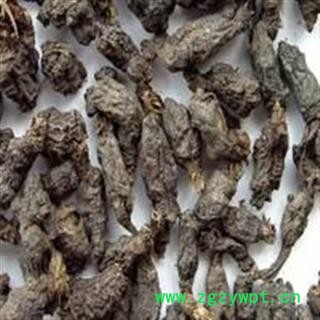 天葵子 统 产地 陕西省西安市蓝田县图2