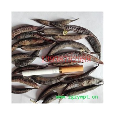 皂角，小皂角，猪牙皂，统 ，产地： 河南省