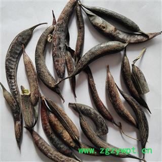 皂角，小皂角，猪牙皂，统 ，产地： 河南省图2