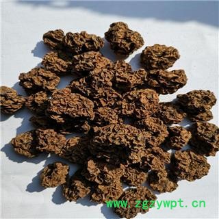 木天蓼子 (圆果）虫瘿果 猫人参果 大粒居多无硫宠猫达人图2