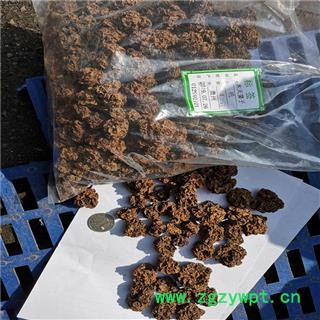 木天蓼子 (圆果）虫瘿果 猫人参果 大粒居多无硫宠猫达人图3