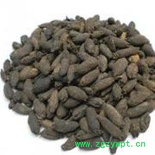 丁香,鸡舌香,雌丁香 中药材药用食用均可保含量图3