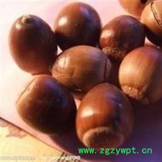 橡子　别名：  　　学名栗茧、蒙古栎,别名橡子树、柞树、蒙古柞图2